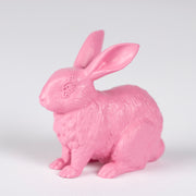 Rabbit Set (Pink)