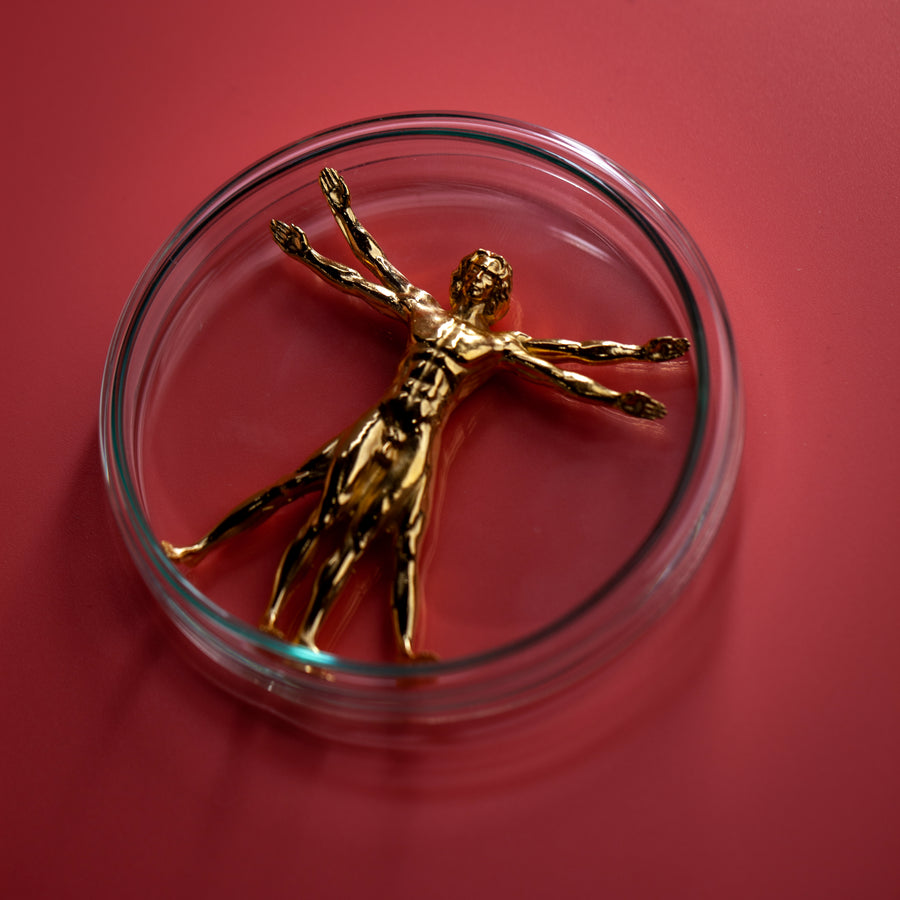 Vitruvian Man (Gold)