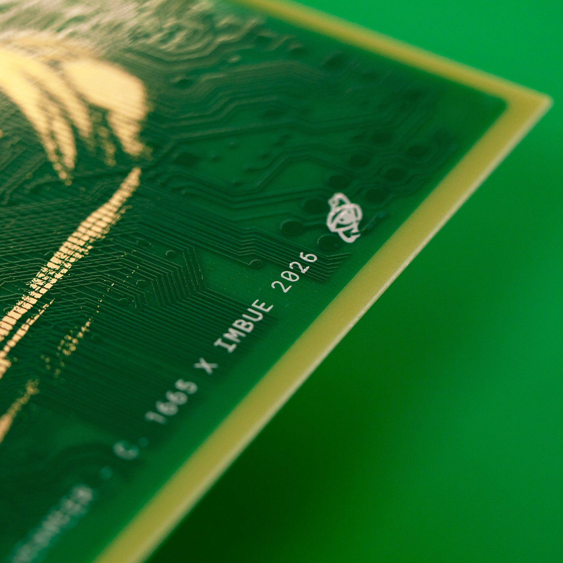 Girl with a PCB