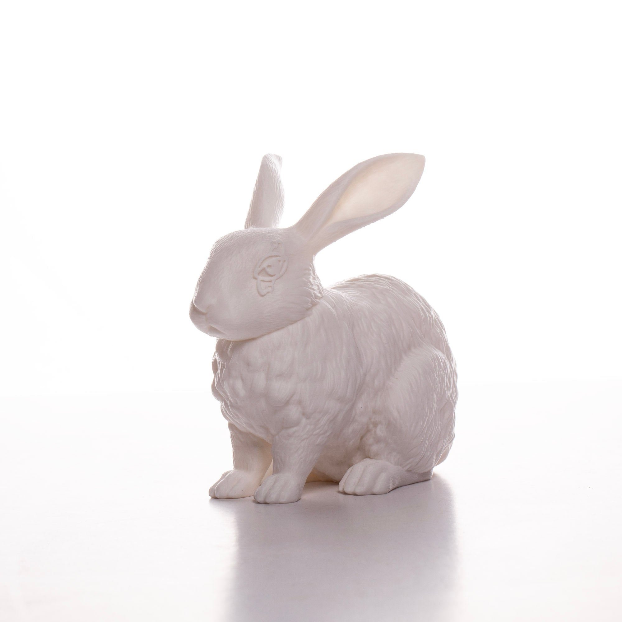 LAB:025 [Lucky Rabbit]