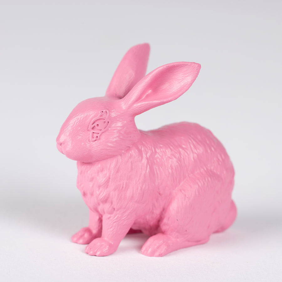 Rabbit Set (Pink)