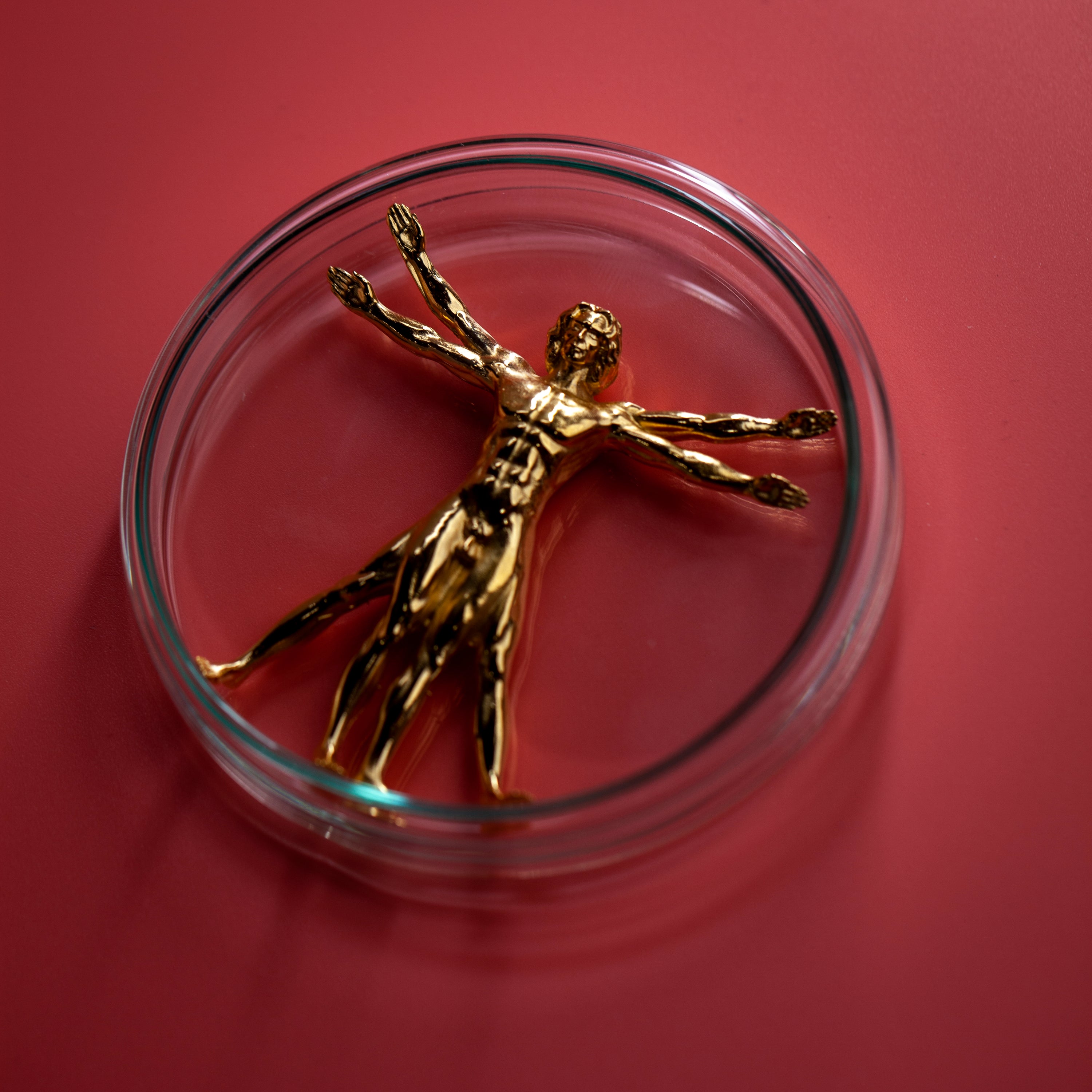 Vitruvian Man (Gold)