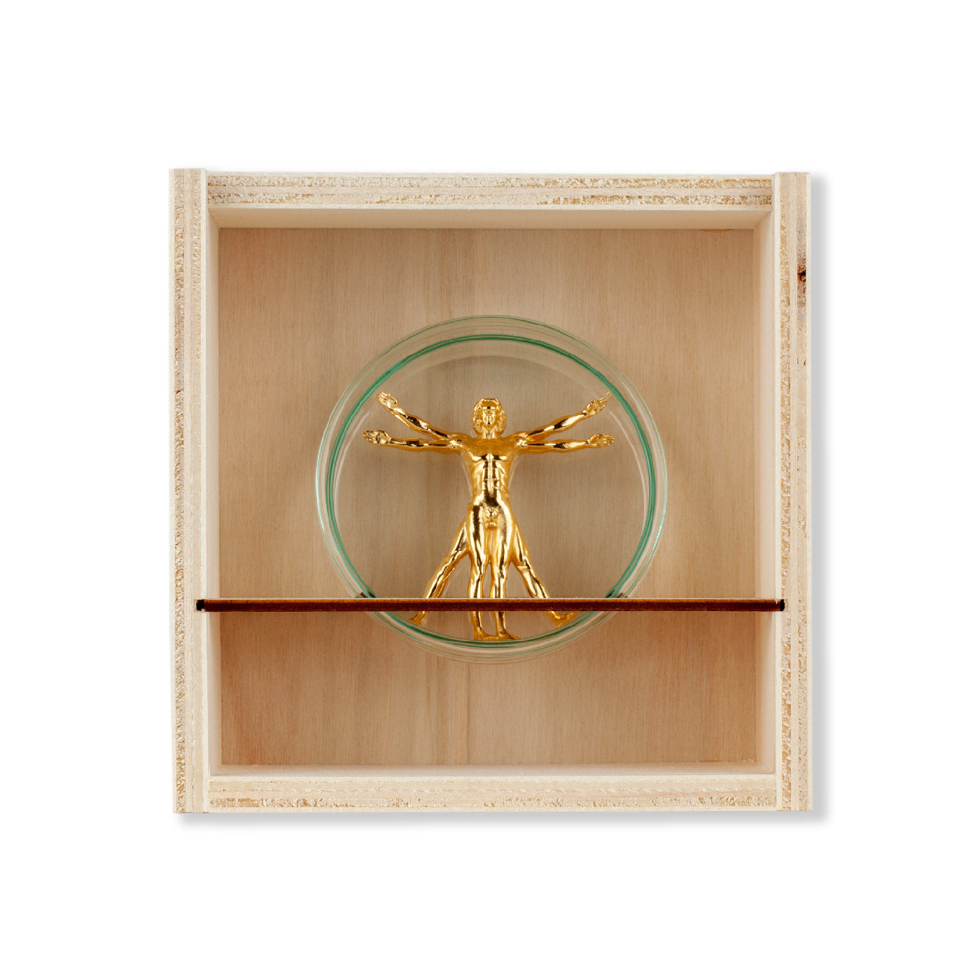 Vitruvian Man (Gold)