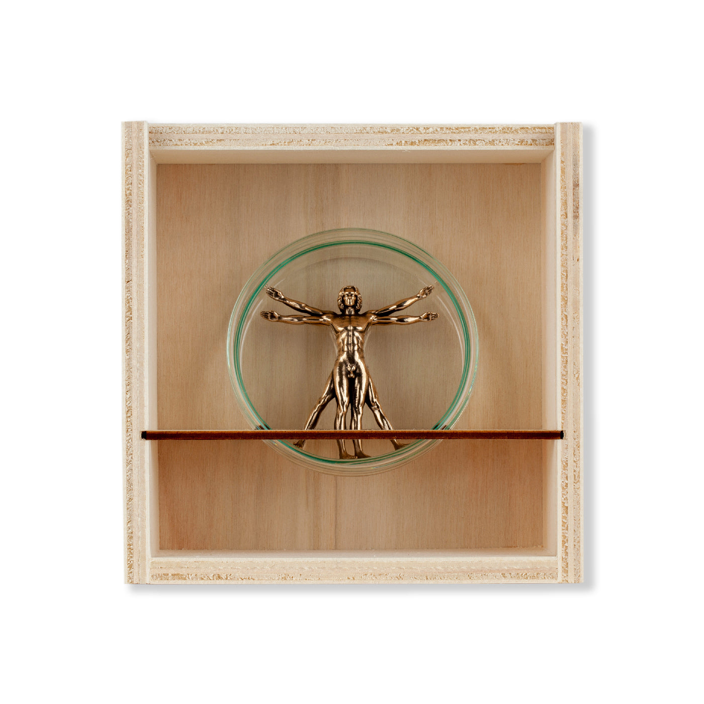 Vitruvian Man (Bronze)